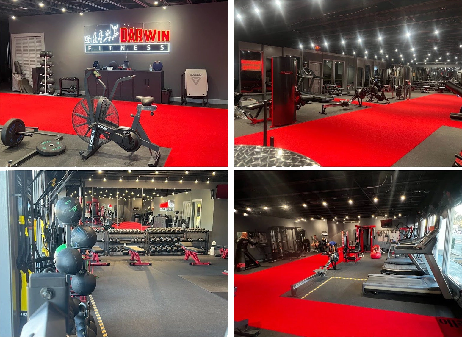 gym collage transparent